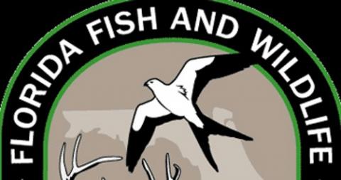 FWC fishing club news